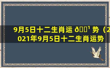 9月5日十二生肖运 🌹 势（2021年9月5日十二生肖运势 🦊 ）